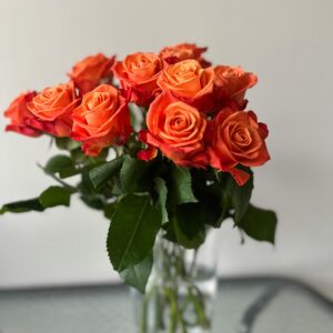 Orange Roses